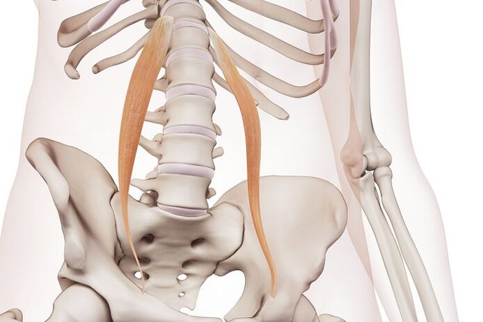 Lomber bölgesinde spinal osteokondroz hastalığın özü