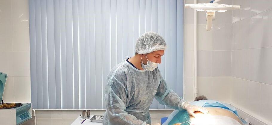 Diz eklemi osteoartritinin SVF tedavisi için yağ dokusu numunesi alınması